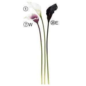 ASCA アスカ カラーリリィ A-34080-001 入数 24