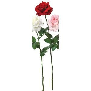 ASCA アスカ ジョージアローズ A-34057-002 入数 12