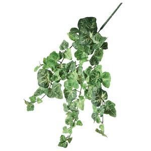 ASCA アスカ リップルアイビーバイン A-43499-051 A 入数 12