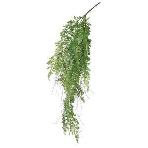 ASCA アスカ ファーンバインハンギングブッシュ A-43497-051 A 入数 12