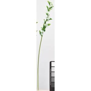 ASCA アスカ ブロッサムステムX 19 A-33977-052 入数 12