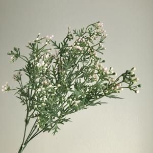 ASCA アスカ ベリーブッシュ A-47867-013 入数 24