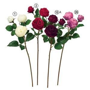 ASCA アスカ ローズX 3 A-33928-001 入数 12