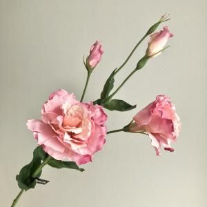 ASCA アスカ トルコギキョウX 2 つぼみX 3 A-33973-003 T 入数 12