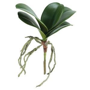 ASCA アスカ オーキッドリーフ A-42565-051 A 入数 12