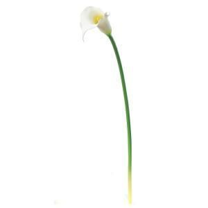 ASCA アスカ カラーリリィ A-32926-001 入数 12