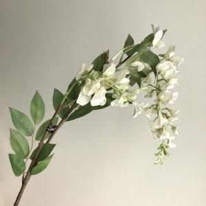 ASCA アスカ ウィステリアX 2 A-32841-011 入数 12