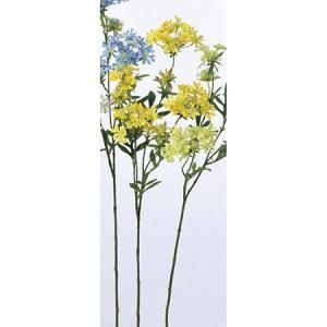 ASCA アスカ クイーンアンズレース A-32805-010 入数 12