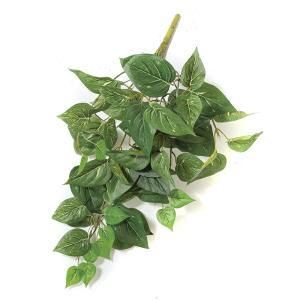 ASCA アスカ フィロブッシュ A-42104-051 A 入数 6