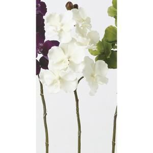 ASCA アスカ ベルベットバンダオーキッド×6 つぼみ×3 A-32308-011 入数 12