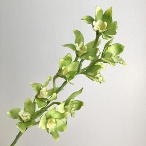 ASCA アスカ シンビジュームX 9 A-39593-051 L 入数 12