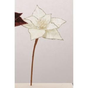 ASCA アスカ ポインセチア AX 60614-011 入数 24