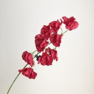 ASCA アスカ スイトピー×9 A-35029-002 入数 24