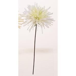 ASCA アスカ マムピック A-73450-052 入数 24