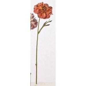 ASCA アスカ ラナンキュラス A-34999-028 F 入数 36