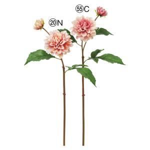 ASCA アスカ ダリア×2 A-34998-020 N 入数 12