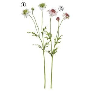 ASCA アスカ スカビオサ×3 GRS認証取得商品 A-34979-001 入数 24