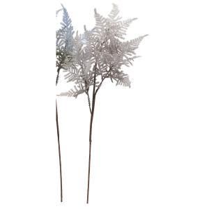 ASCA アスカ アスパラガスファーン A-44541-063 L 入数 24