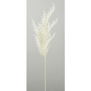 ASCA アスカ パンパス A-44540-011 入数 12