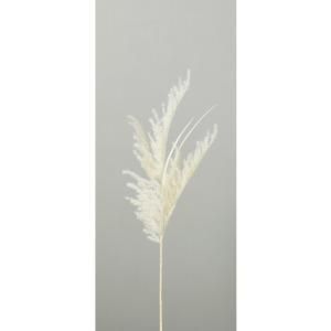 ASCA アスカ パンパス A-44539-011 入数 12