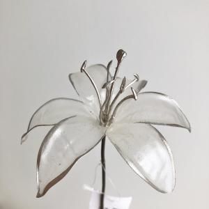 ASCA アスカ リリィピック A-39679-031 入数 48