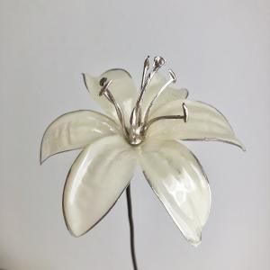 ASCA アスカ リリィピック A-39679-011 入数 48