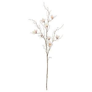 ASCA アスカ マグノリア×8 A-34994-055 C 入数 12