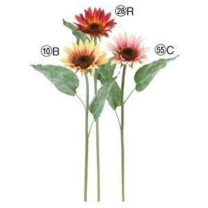 ASCA アスカ サンフラワー A-34990-010 B 入数 24