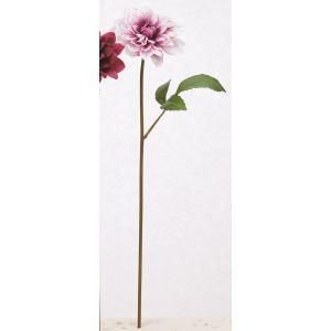 ASCA アスカ ダリア A-34980-045 W 入数 12