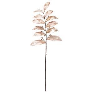 ASCA アスカ ベルベットリーフスプレー A-74659-027 入数 12