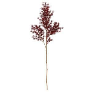 ASCA アスカ ミリオグラタス A-74656-015 A 入数 12