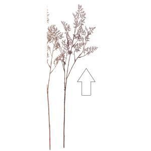 ASCA アスカ グリッターリモニウム A-73440-015 A 入数 12