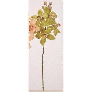 ASCA アスカ シンビジューム×6 つぼみ×3 A-73434-052 B 入数 8