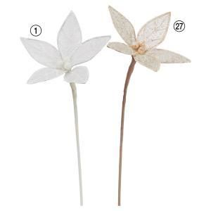 ASCA アスカ ポインセチア AX 60628-001 入数 12