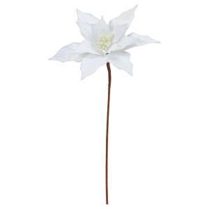 ASCA アスカ ポインセチア AX 60621-000 入数 12