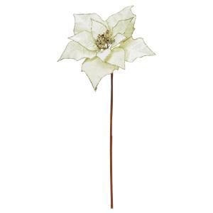 ASCA アスカ ポインセチア AX 60619-000 入数 12