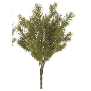 ASCA アスカ シーダーブッシュ AX 60593-054 入数 24