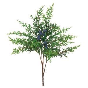 ASCA アスカ シーダーベリーブッシュ AX 60565-000 入数 12