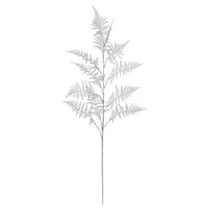 ASCA アスカ アスパラガスファーン AX 60552-000 入数 12