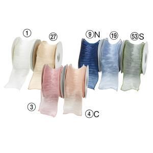 ASCA アスカ オーガンジーリボン A-16979-001 入数 5