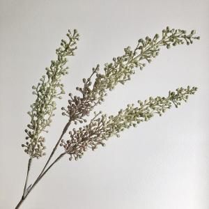 ASCA アスカ ベリースプレー A-48021-052 V 入数 12