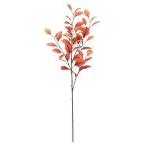 ASCA アスカ リーフスプレー A-44523-068 A 入数 12