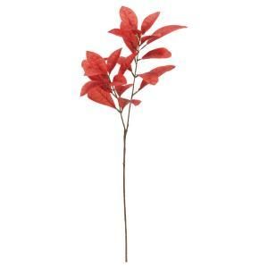 ASCA アスカ クロトン A-44521-068 A 入数 24