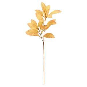 ASCA アスカ クロトン A-44520-030 E 入数 24