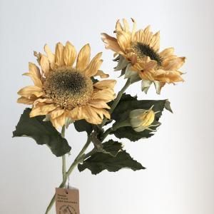 ASCA アスカ サンフラワー×2 つぼみ×1 GRS認証取得商品 A-34974-040 Y 入数 12