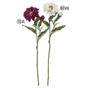 ASCA アスカ ジニア×1 つぼみ×1 GRS認証取得商品 A-34971-015 A 入数 24