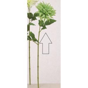 ASCA アスカ ダリア A-34968-052 B 入数 12