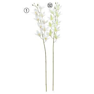 ASCA アスカ シンビジューム×9 つぼみ×4 A-34967-001 入数 12