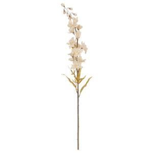 ASCA アスカ デルフィニウム A-34963-008 入数 12