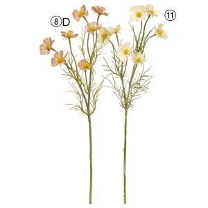 ASCA アスカ コスモス×7 A-34961-008 D 入数 24